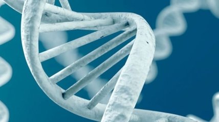 Обнаружено гены, отвечающие за агрессивность человека 