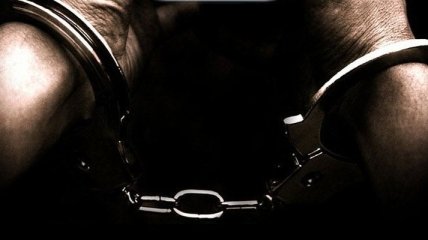 Полиция задержала 245 человек, что занимались детской порнографией