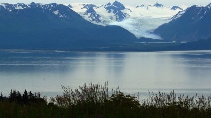 Экологи заметили регион аномально теплой воды у берегов Аляски