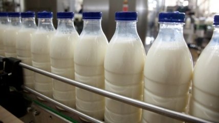 Закупочная стоимость молока осенью поднимется на 10%