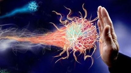 Как укрепить иммунитет и держать его в тонусе