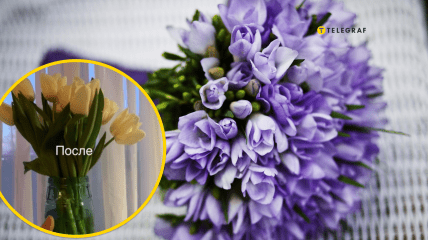 Советы по уходу за подарками на 8 марта