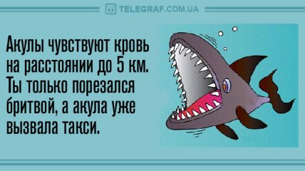 Поделись улыбкою своей: анекдоты на день 21 ноября