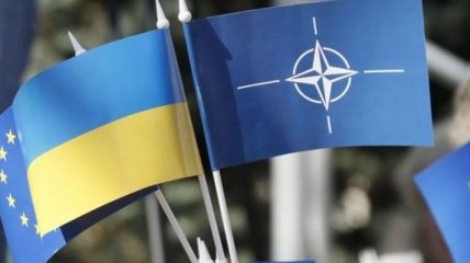 Депутат Бундестага: Украина не сможет стать членом НАТО без Крыма
