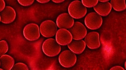 Лечение коронавируса с помощью плазмы оказалось неэффективным? Выводы ученых