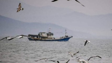 Россия заявила о задержании украинских рыбаков в Черном море