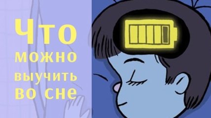 Можно ли учиться во сне: четыре факта о том, как работает наша память