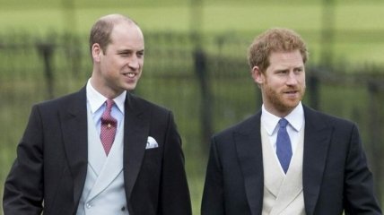 "Вцепились друг другу в глотки": принцы Уильям и Гарри сильно поссорились на похоронах герцога Эдинбургского 