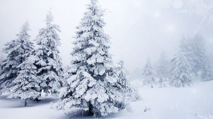 Погода в Украине 25 января: ожидается снег 
