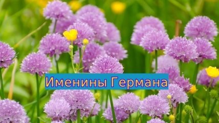 Именины (День Ангела) Германа: значение имени и поздравления