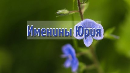 С Днем ангела Юрия! Яркие открытки и поздравления
