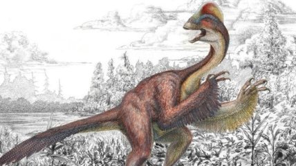 В США обнаружен крупнейший пернатый динозавр