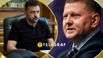 Владимир Зеленский, Валерий Залужный