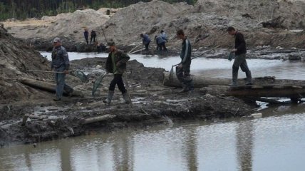 В Ровенской области с начала года открыто более 100 дел против добытчиков янтаря