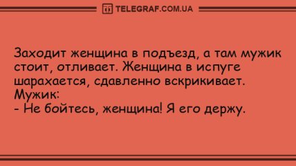 Угорала даже Несмеяна: вечерние анекдоты 24 июля