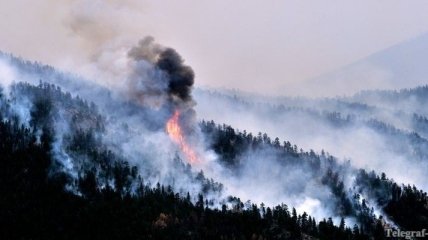 В течение недели в лесах Украины произошло около 1,5 тыс. пожаров