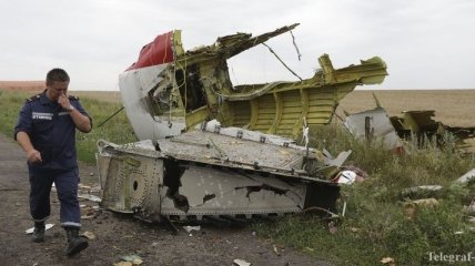 Госсовет Нидерландов сделал заявление о трагедии МН-17