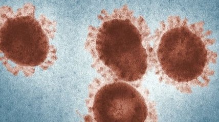 Откуда возник коронавирус: Ученые рассматривают две вероятные теории