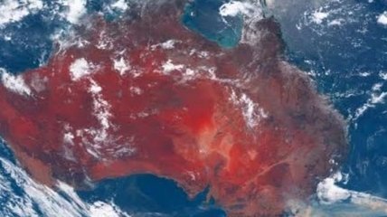 Континент в огне: в Австралии началась массовая эвакуация (Видео)