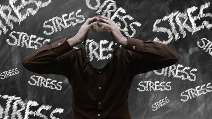 Может ли стресс позитивно влиять на организм человека: если да, то в чем его польза?