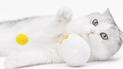 Порадуйте своего питомца: игрушка для котиков - Xiaomi FurryTail Toy (Видео)