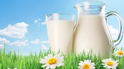 Все о пользе молочных продуктов