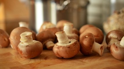 Рецепт вкуснейших маринованных грибочков