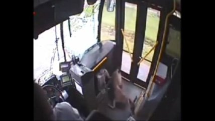 Олень на бегу столкнулся с автобусом (Видео)