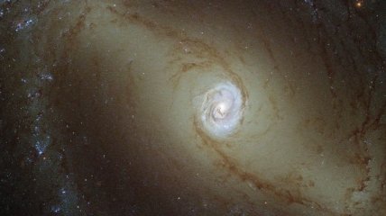 Какова тайна сияния в центре соседней галактики? 