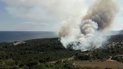 Украинские спасатели помогают тушить масштабные пожары в Черногории (Видео)