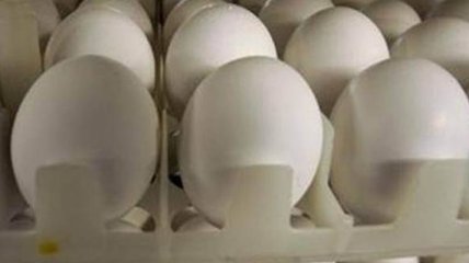 В Германию попали около 28 млн зараженных фипронилом яиц