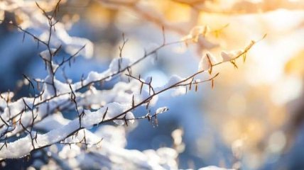 В Украине в ближайшие дни ожидают усиление морозов