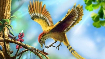 Палеонтологи нашли прародину всех современных птиц 