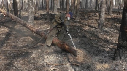 ГАЗО: В течении последних трех дней в зоне отчуждения пожаров не зафиксировано