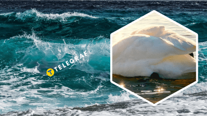 Коллаж "Телеграфа"