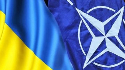 Руководство НАТО планирует визит в Украину