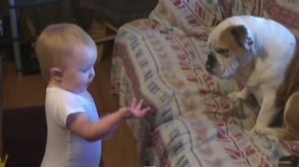 ВИДЕОпозитив: малыш решил серьезно поговорить с собакой