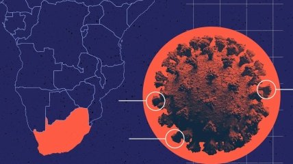 Клинических доказательств опасности "Омикрона", найденного в ЮАР, пока нет