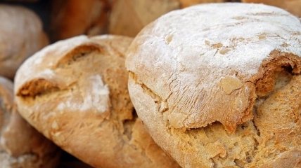 Почему хлеб не черствеет, а плесневеет?