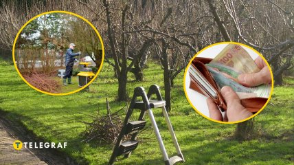 Весенние работы в садах идут полным ходом