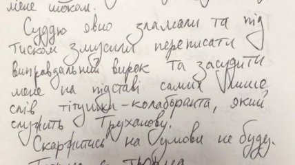 "Приговор стал для меня шоком": Стерненко написал письмо из СИЗО