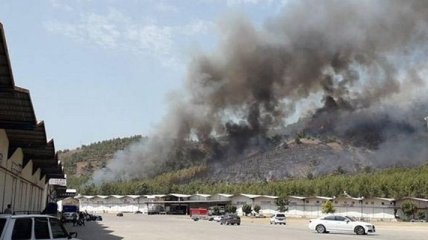 Лесные пожары в Турции: пострадали популярные курорты