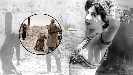 Нидерландская экзотическая танцовщица