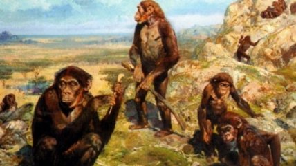 Новые археологические находки подтверждают идею о изначальной прямоходячести предков человека