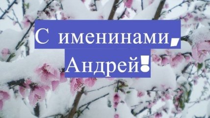 Красивые поздравления и яркие открытки на День ангела Андрея