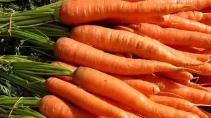 Ученые рассказали, когда появилась современная морковь 