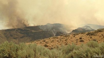 В Вашингтоне ввели чрезвычайное положение из-за лесных пожаров