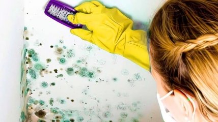 Часто плесень располагается во влажных помещениях