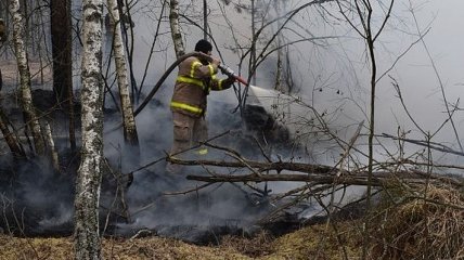 В Чернобыльской зоне опять пожар: горят 3 га леса