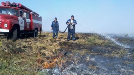 В Украине с начала года произошло более 13 тысяч пожаров в экосистемах 